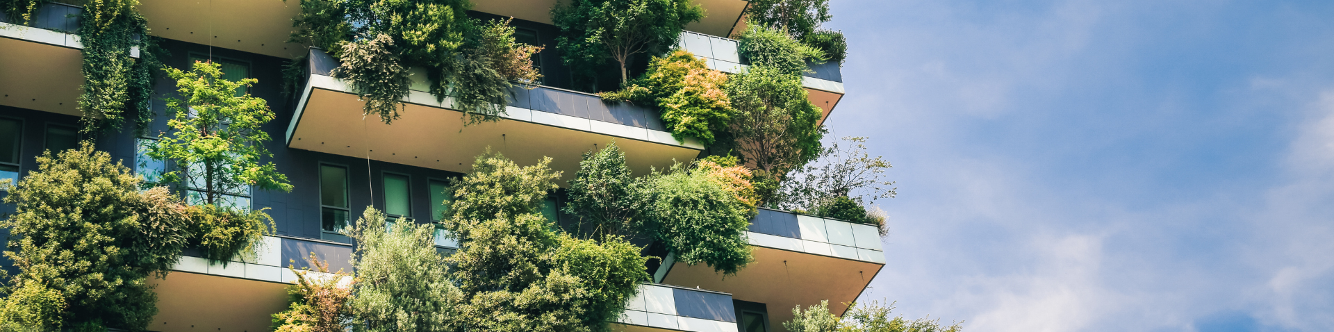 green balconies